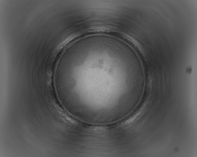 X0000091230778200708231654