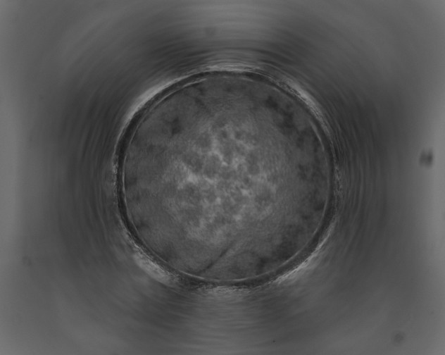 X0000091230779200708231653