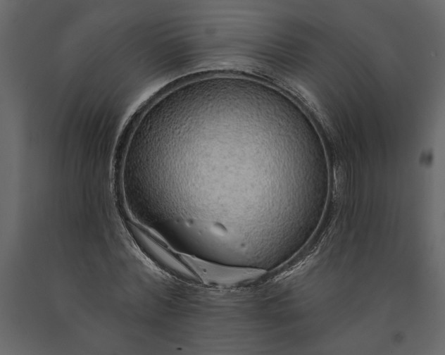 X0000091230780200708231653
