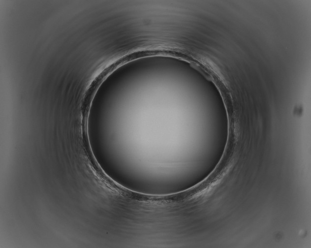 X0000091230781200708231653