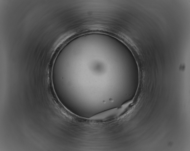 X0000091230782200708231653