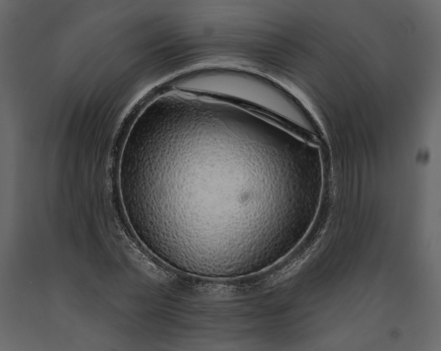 X0000091230783200708231653