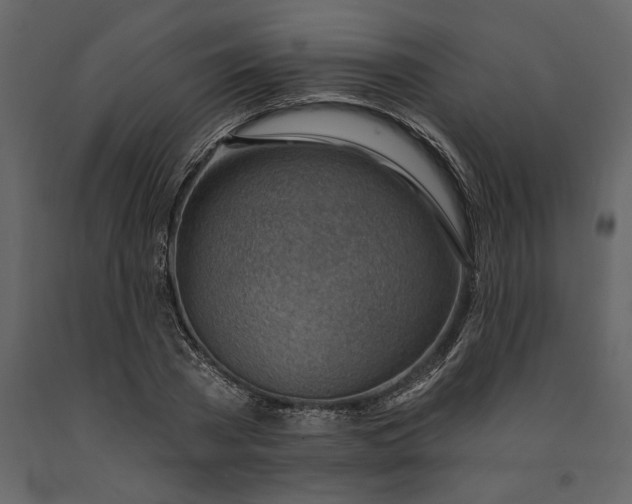 X0000091230785200708231653