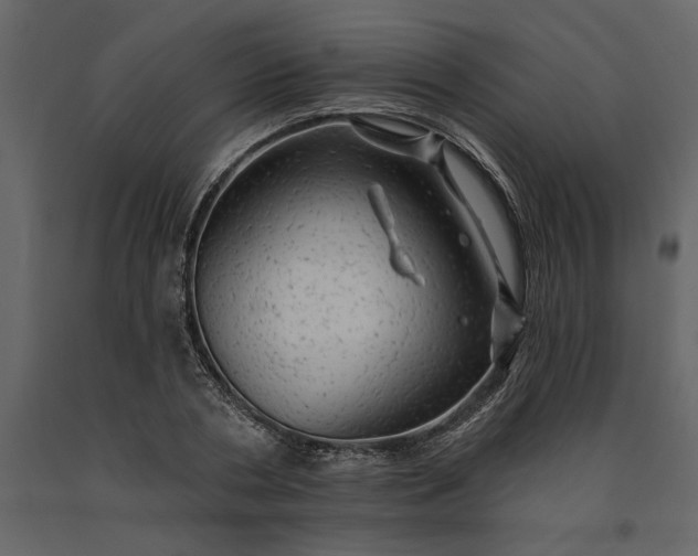 X0000091230786200708231653