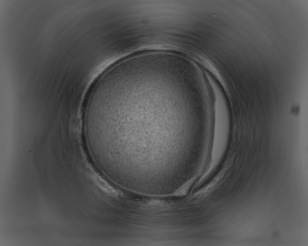 X0000091230787200708231653