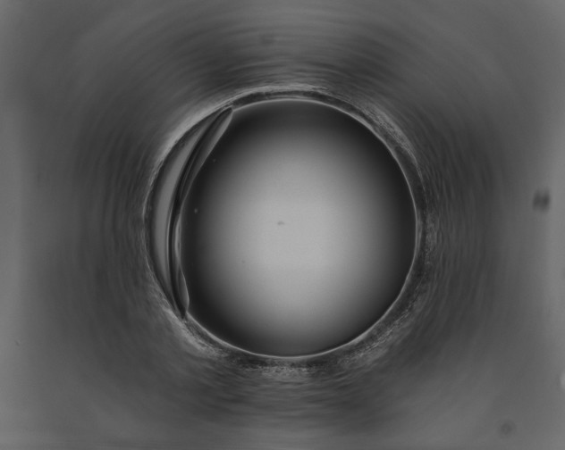 X0000091230789200708231653