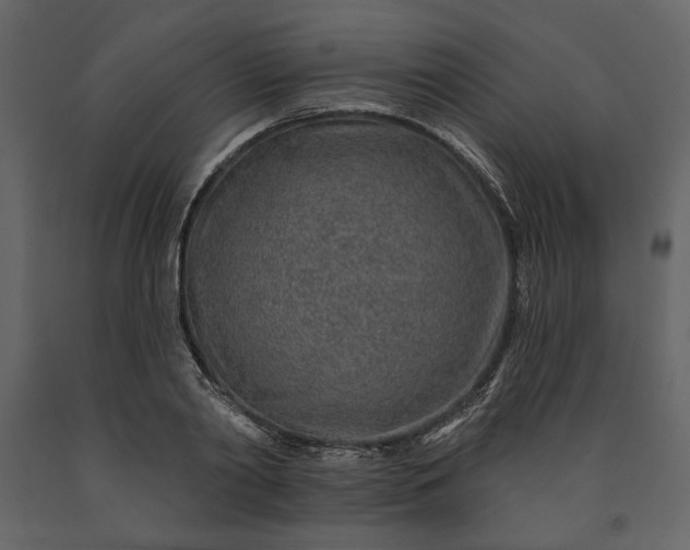 X0000091230790200708231653