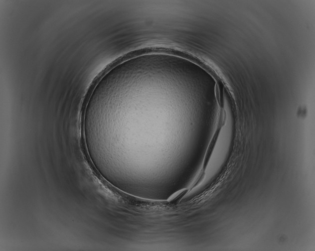 X0000091230791200708231653