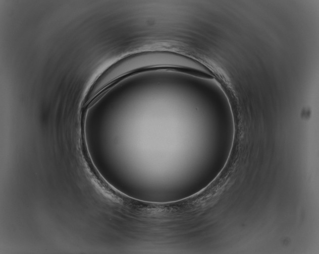 X0000091230792200708231653