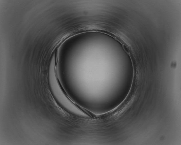 X0000091230793200708231653