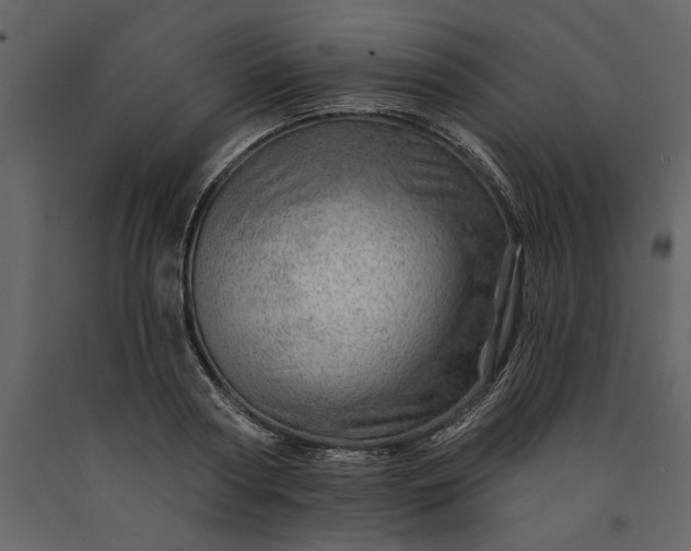 X0000091230794200708231653