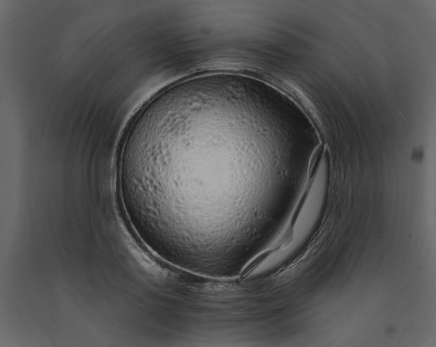 X0000091230795200708231653