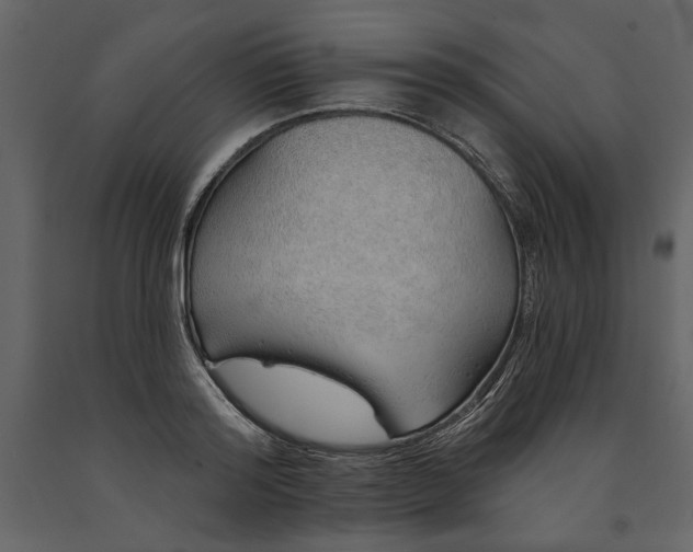 X0000091230796200708231653