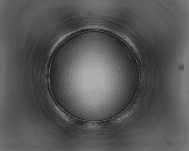 X0000091230799200708231653