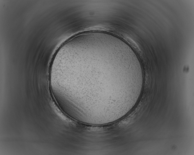 X0000091230800200708231653