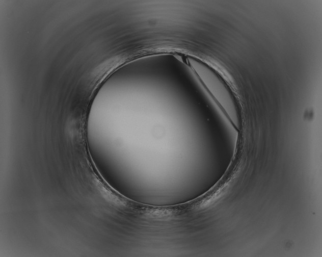 X0000091230801200708231653