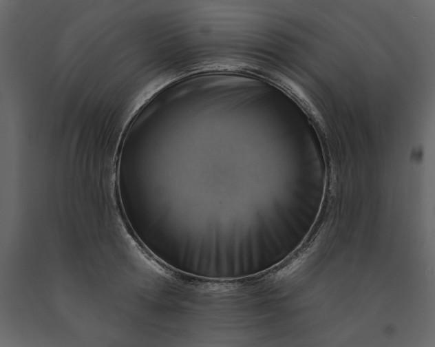 X0000091230802200708231653