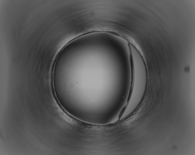 X0000091230803200708231653