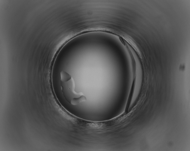 X0000091230805200708231653