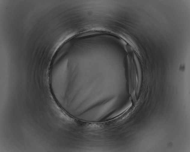 X0000091230806200708231653