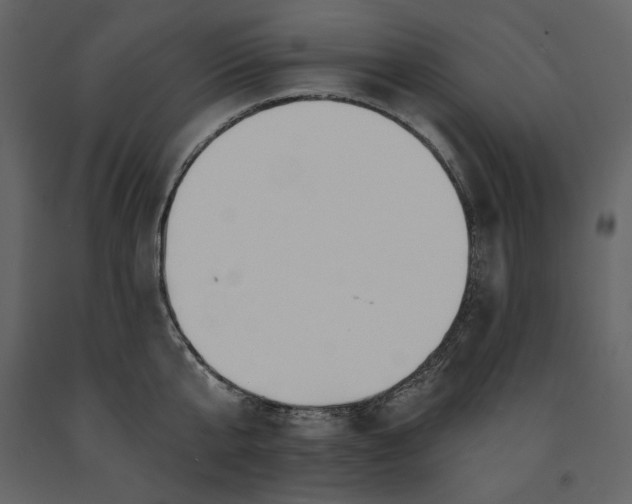 X0000091230807200708231653
