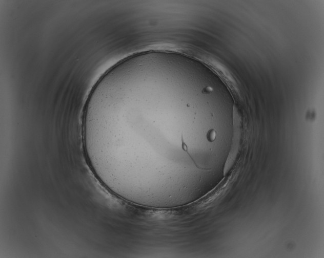 X0000091230808200708231653