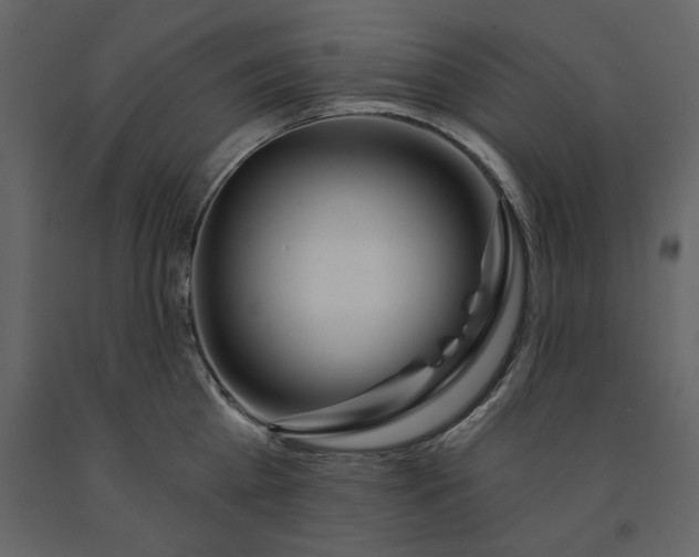 X0000091230809200708231653
