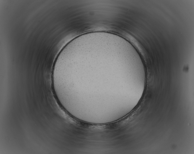 X0000091230810200708231653