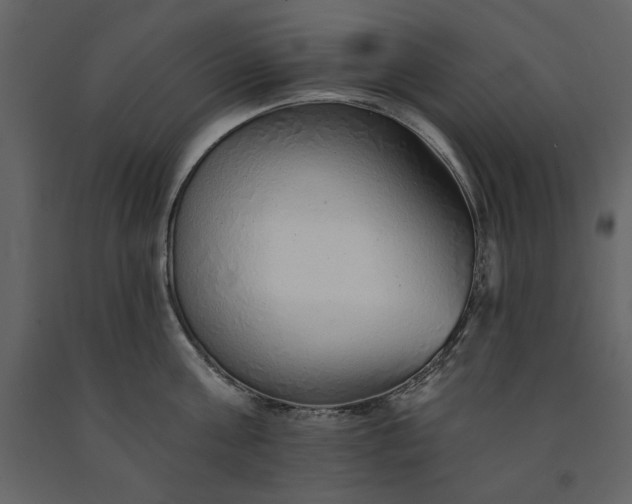 X0000091230811200708231653