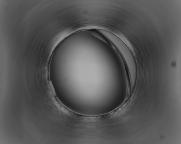 X0000091230813200708231653