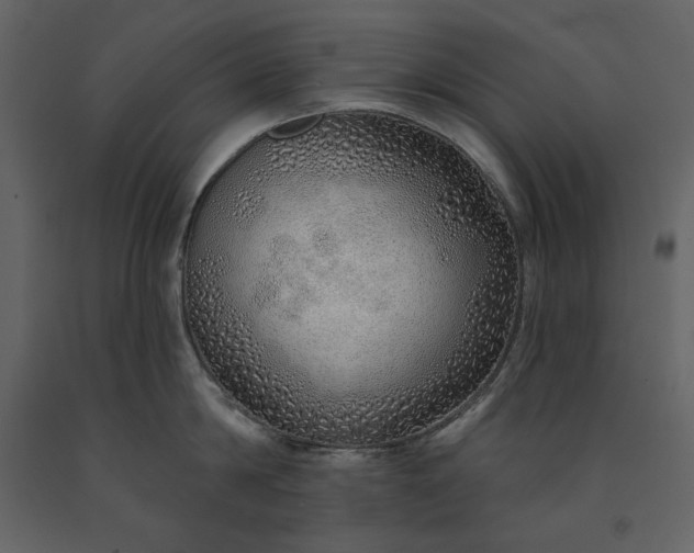 X0000091230814200708231653