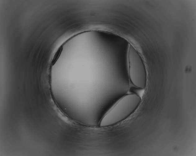 X0000091230816200708231653