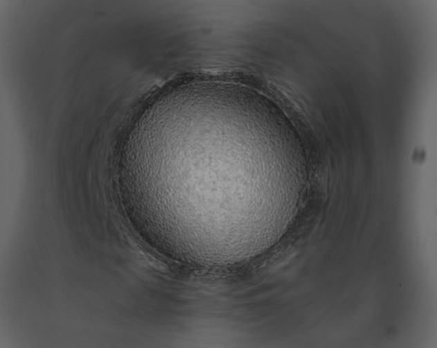 X0000091230817200708231652