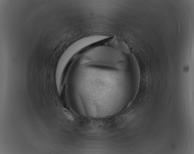 X0000091230818200708231652