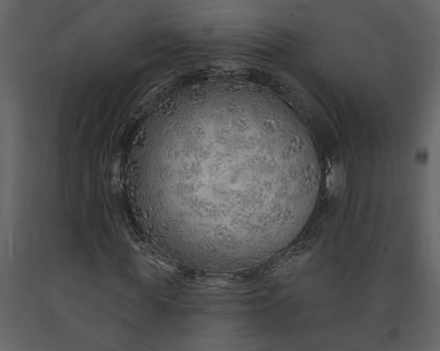 X0000091230819200708231652
