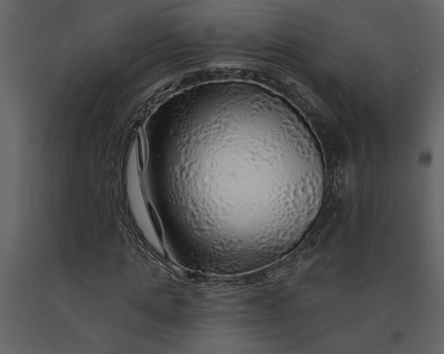 X0000091230821200708231652