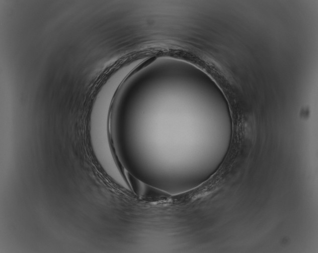X0000091230822200708231652