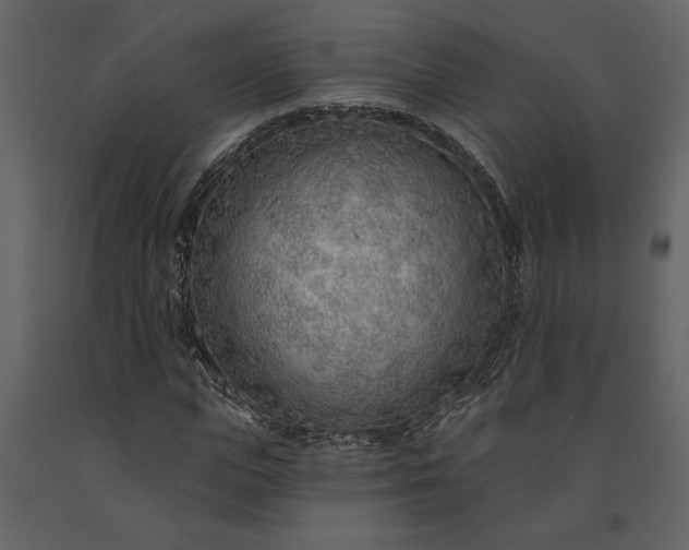 X0000091230823200708231652