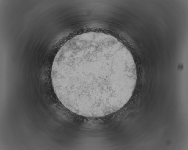 X0000091230824200708231652