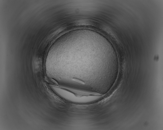 X0000091230825200708231652