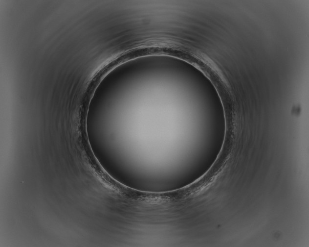 X0000091230826200708231652