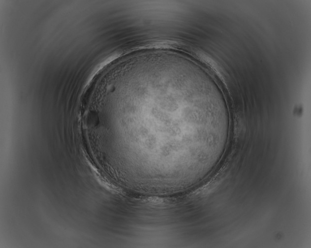 X0000091230827200708231652