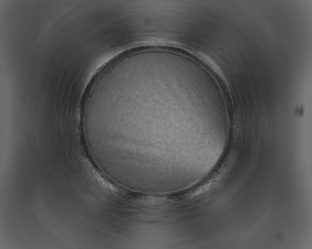 X0000091230831200708231653