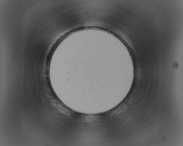 X0000091230832200708231653