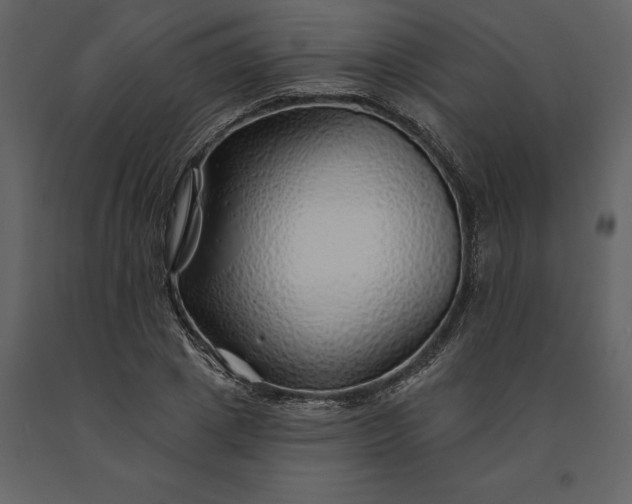 X0000091230833200708231653