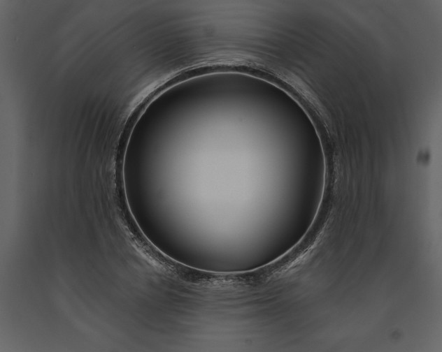 X0000091230834200708231653