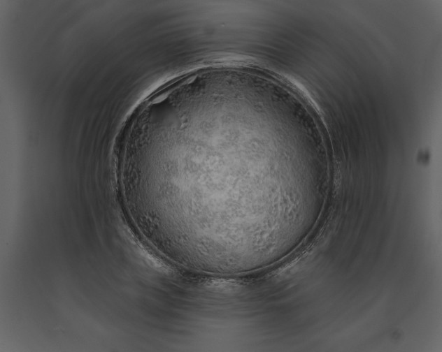 X0000091230835200708231653