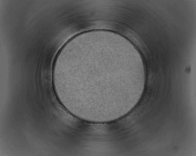 X0000091230836200708231653