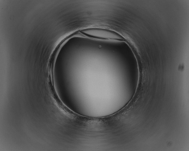 X0000091230838200708231653
