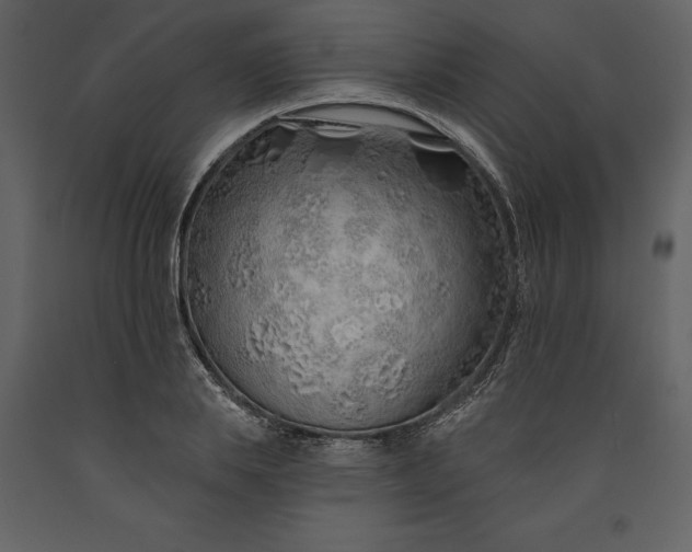 X0000091230839200708231653